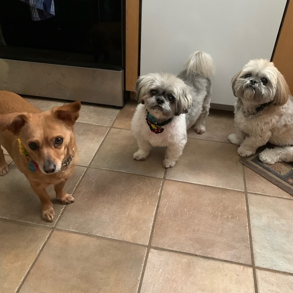 Meet your Posher, Teresa - Picture 2 of 2